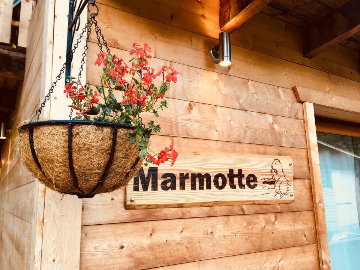 Chalet Marmotte 2 Morzine Exterior foto